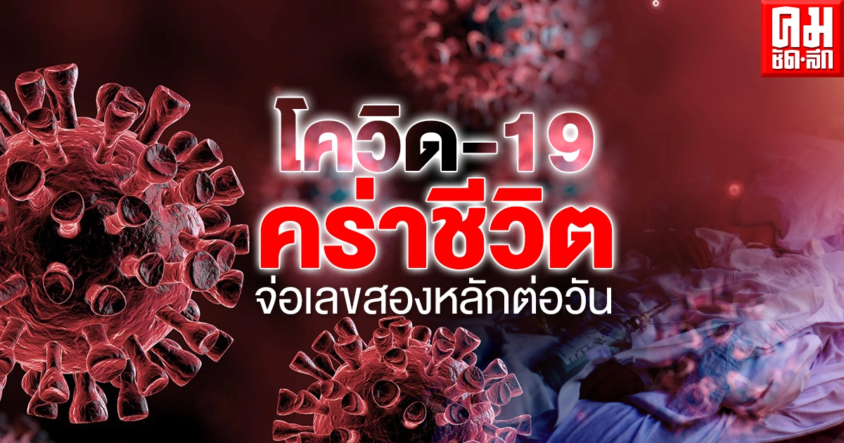 ผู้เสียชีวิตจากโควิด-19 ทำสถิติต่อวันสูงสุด 8 ราย พบผู้ป่วยติดเตียงติดเชื้อดับในวันเดียว ผู้เสียชีวิตจากโควิด-19 ทำสถิติต่อวันสูงสุด 8 ราย พบผู้ป่วยติดเตียงติดเชื้อดับในวันเดียว