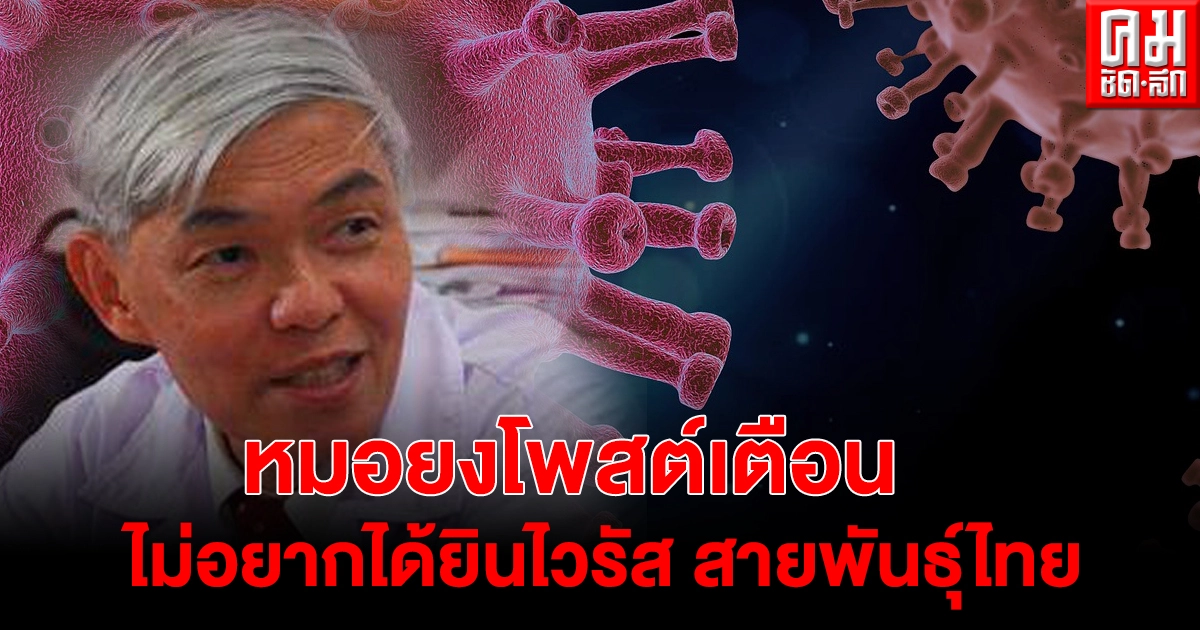"หมอยง"โพสต์เตือน โควิด-19 ระบาดในไทยแพร่กระจายติดต่อง่าย ถ้าระบาดจำนวนมาก จะมีการกลายพันธุ์ "หมอยง"โพสต์เตือน โควิด-19 ระบาดในไทยแพร่กระจายติดต่อง่าย ถ้าระบาดจำนวนมาก จะมีการกลายพันธุ์