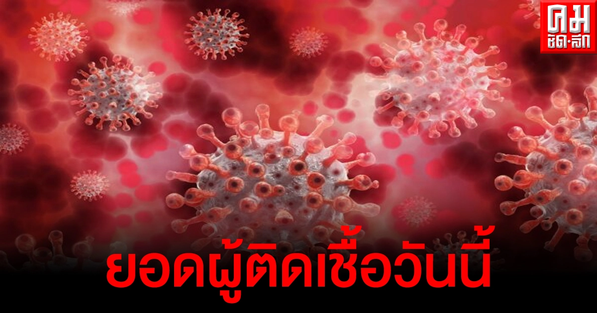ด่วน ยอดติดเชื้อเพิ่มยังคงเกิน 2 พันราย ดับอีก 8 อาการหนักครึ่งพัน ด่วน ยอดติดเชื้อเพิ่มยังคงเกิน 2 พันราย ดับอีก 8 อาการหนักครึ่งพัน