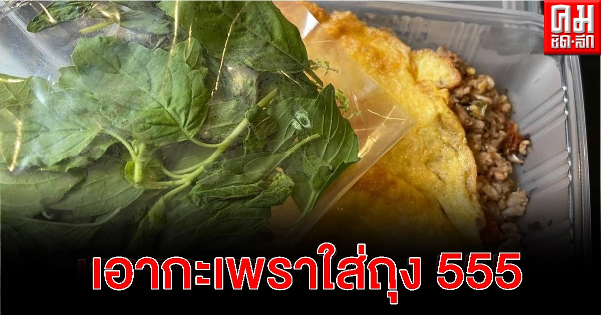 ชาวเน็ตแห่แชร์กะเพราแยกใบสด เมนูใหม่ที่ลูกค้าสั่งแล้วต้องตะลึงจนมีผู้คนให้ความสนใจมาก ชาวเน็ตแห่แชร์กะเพราแยกใบสด เมนูใหม่ที่ลูกค้าสั่งแล้วต้องตะลึงจนมีผู้คนให้ความสนใจมาก