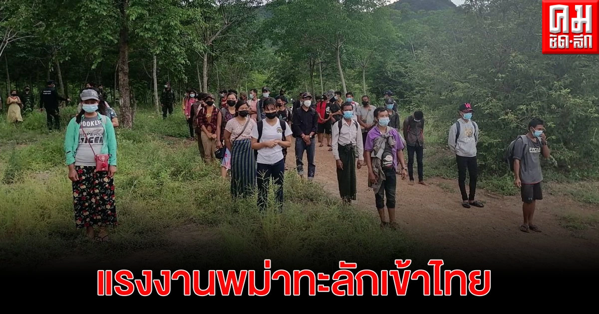 ทะลักต่อเนื่อง ทหารฉก.ลาดหญ้าตรวจเข้มชายแดน รวบแรงงานเถื่อนพม่า 60 คน ทะลักต่อเนื่อง ทหารฉก.ลาดหญ้าตรวจเข้มชายแดน รวบแรงงานเถื่อนพม่า 60 คน
