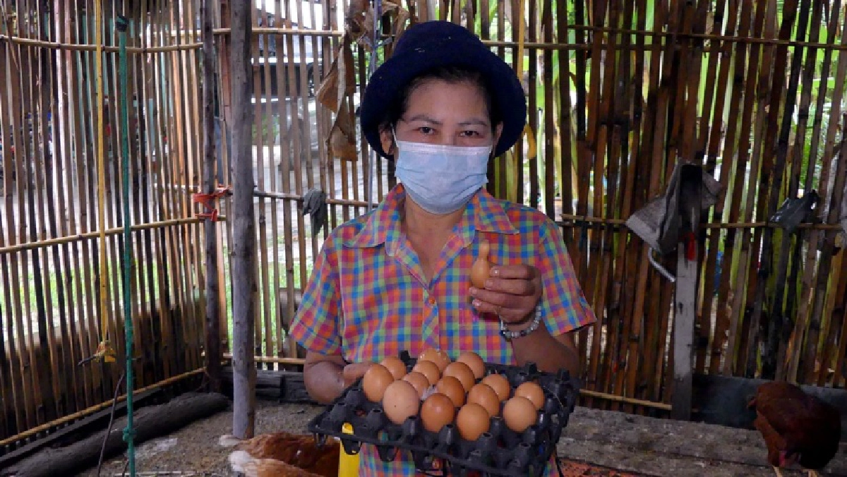 ฮือฮา..ไก่ออกไข่เป็นลูกน้ำเต้าจีน เจ้าของเชื่อมาให้โชคลาภ