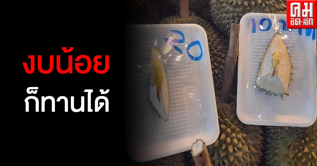 สุดครีเอท แบ่งทุเรียนขายพูละ 10-20 บาท แค่ได้กลิ่นก็ชื่นใจ สุดครีเอท แบ่งทุเรียนขายพูละ 10-20 บาท แค่ได้กลิ่นก็ชื่นใจ