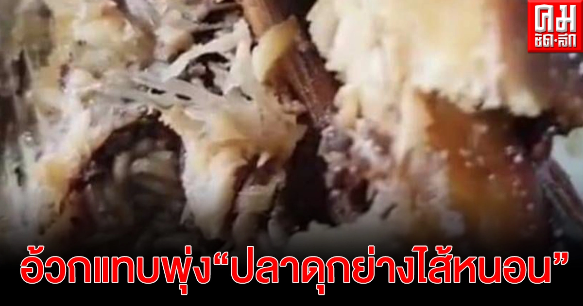เพจโพสต์ คนซื้อปลาดุกย่างริมถนน เมืองอ่างทอง  เจอหนอน  แต่ชาวบ้านบอกซื้อมาไม่เคยเจอหนอน พ่อค้าก็หยุดขายไปหลายวัน