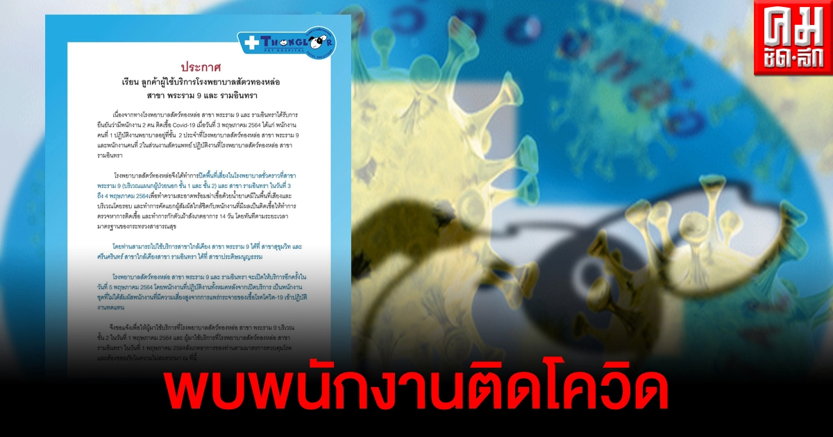 ด่วน โรงพยาบาลสัตว์ทองหล่อ 2 สาขา พบพนักงานติดเชื้อโควิด สั่งปิดพื้นที่ฆ่าเชื้อ ด่วน โรงพยาบาลสัตว์ทองหล่อ 2 สาขา พบพนักงานติดเชื้อโควิด สั่งปิดพื้นที่ฆ่าเชื้อ
