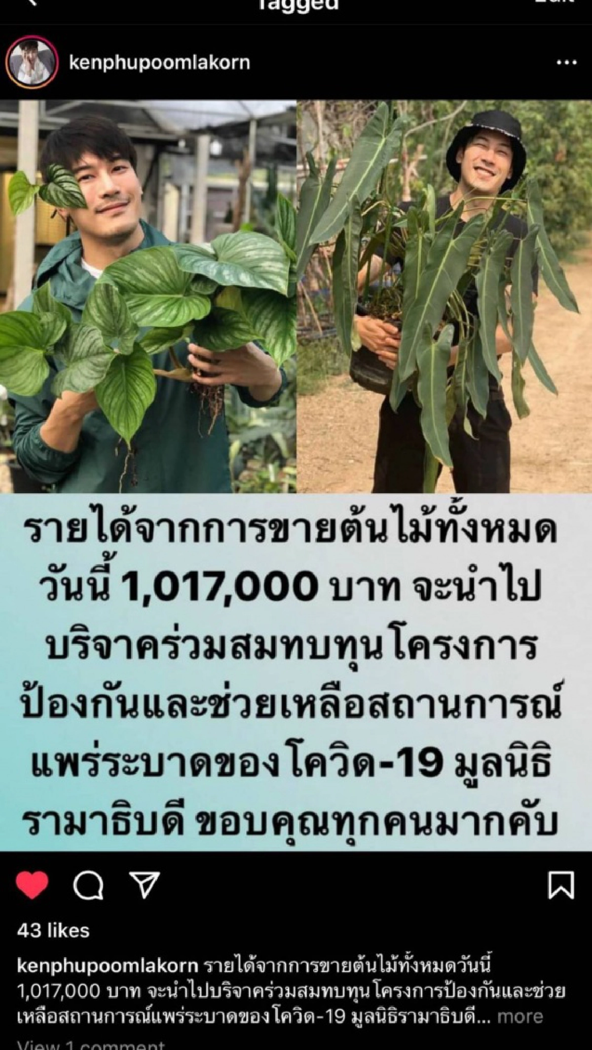 เคน ภูภูมิ ขายต้นไม้ สมทบทุนช่วยโควิด 1 ล้านบาท มูลนิธิรามาธิบดี