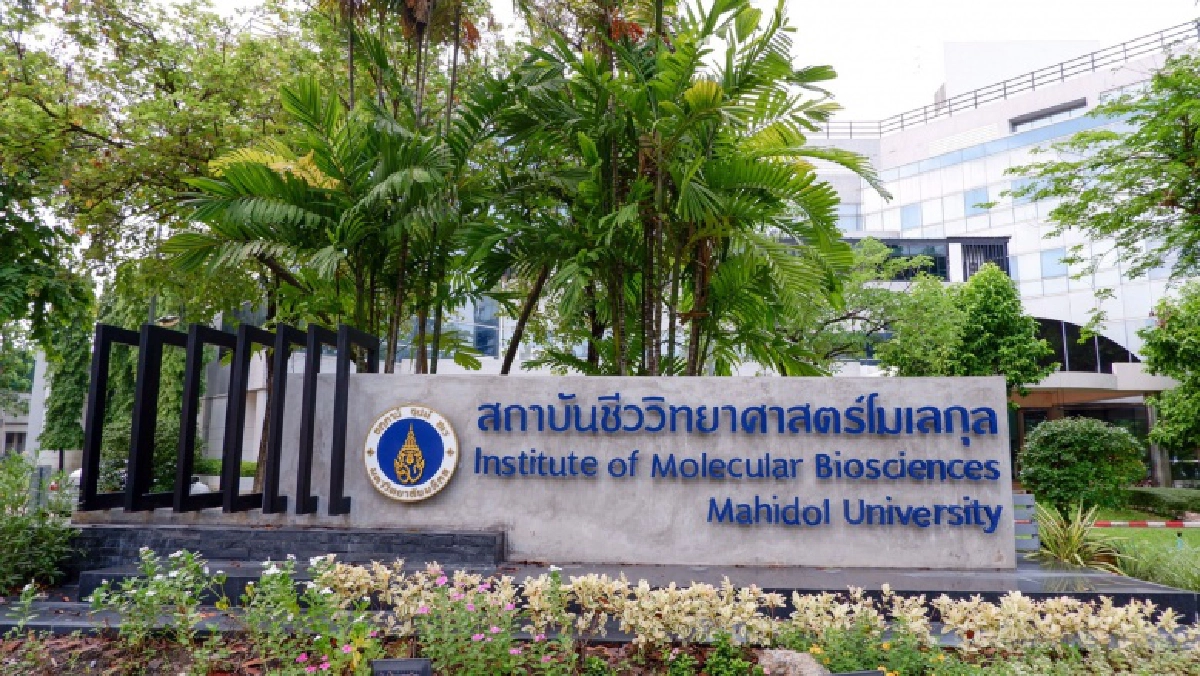 "ม.มหิดล" เชิญชวนบริจาคโลหิตช่วยเหลือผู้ป่วยโรคธาลัสซีเมีย เยียวยาวิกฤติขาดแคลนเลือด ในช่วง COVID-19 แพร่ระบาด