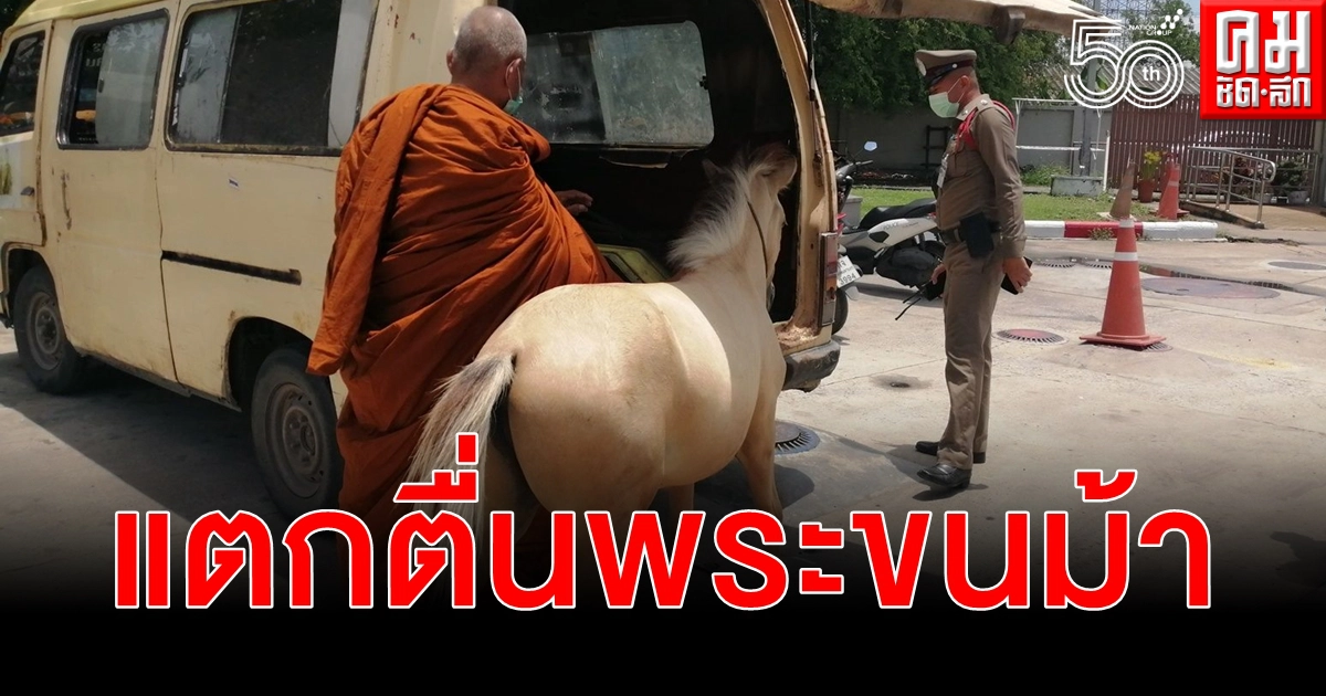 ผงะพระขับรถตู้ขนม้าแจ้ง ตร.สกัดจับตรวจเจอหมูป่าอีกตัวส่งเจ้าคณะอำเภอสอบ ผงะพระขับรถตู้ขนม้าแจ้ง ตร.สกัดจับตรวจเจอหมูป่าอีกตัวส่งเจ้าคณะอำเภอสอบ