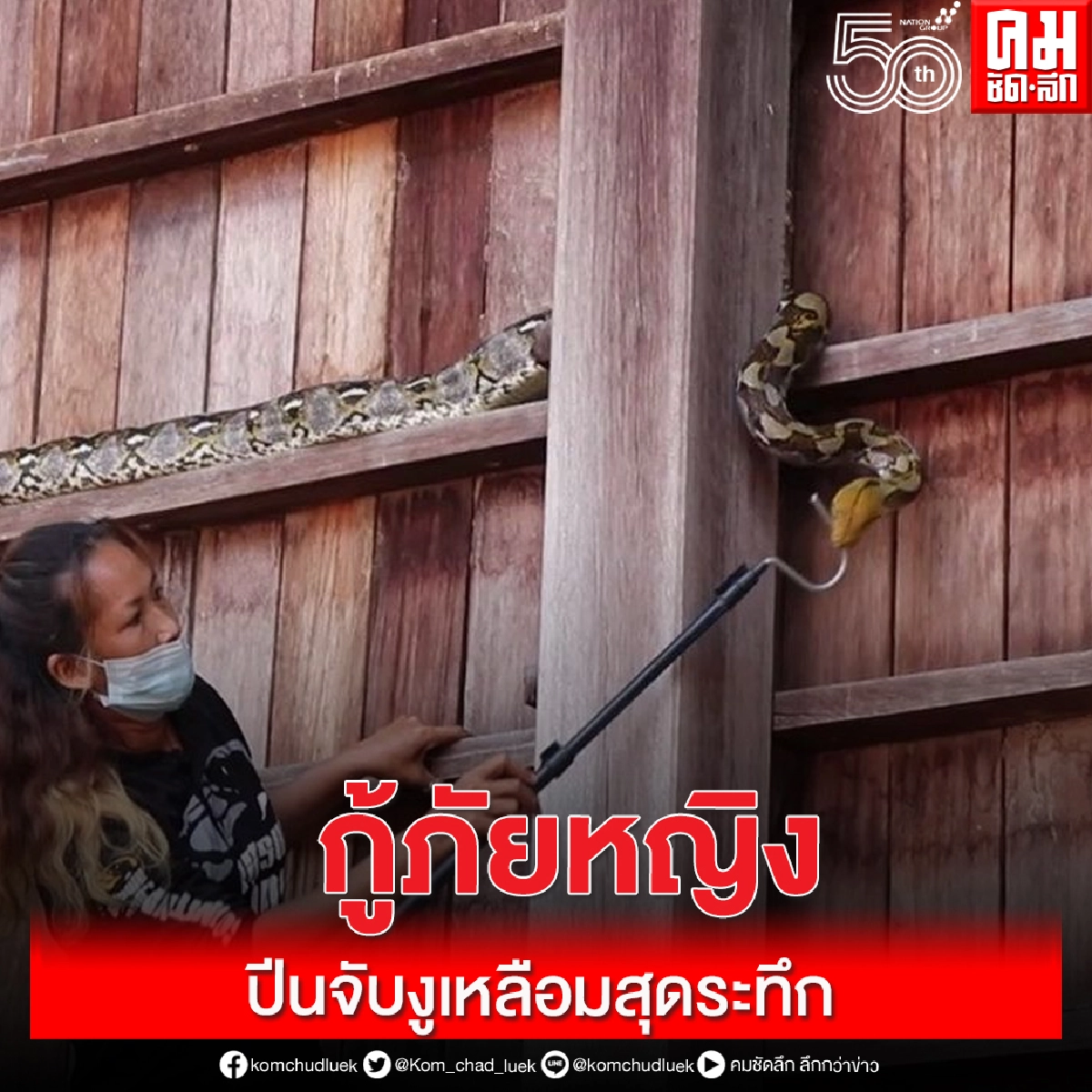 งูเหลือมขนาดใหญ่ แอบซุกซ่อนอยู่บนยุ้งข้าวร้าง  กู้ภัยหญิงปีนจับแบบสุดระทึก