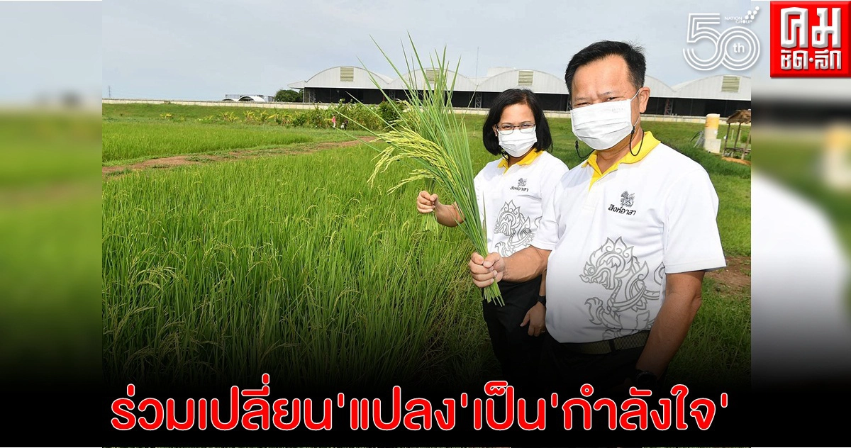 แปลงเกษตร 8 โรงงานบุญรอดฯ ร่วมเปลี่ยน "แปลง" เป็น "กำลังใจ"  ส่งบุคลากรทางการแพทย์ และชุมชน