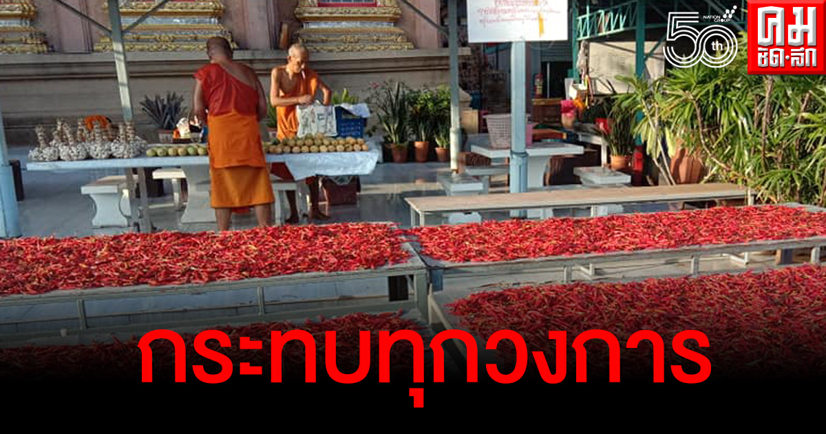 พระก็ไม่ไหว พระสงฆ์วางแผงขายของพริก กระเทียม มะม่วงหาเงินเข้าวัดบูรณะเมรุ พระก็ไม่ไหว พระสงฆ์วางแผงขายของพริก กระเทียม มะม่วงหาเงินเข้าวัดบูรณะเมรุ