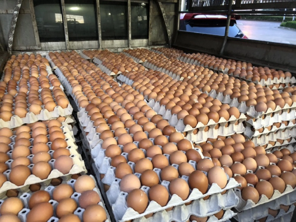 "ตั๊ก บงกช" จัดข้าวสาร 1000 แพ็คอาหารยังชีพช่วยเหลือชาวคลองเตย