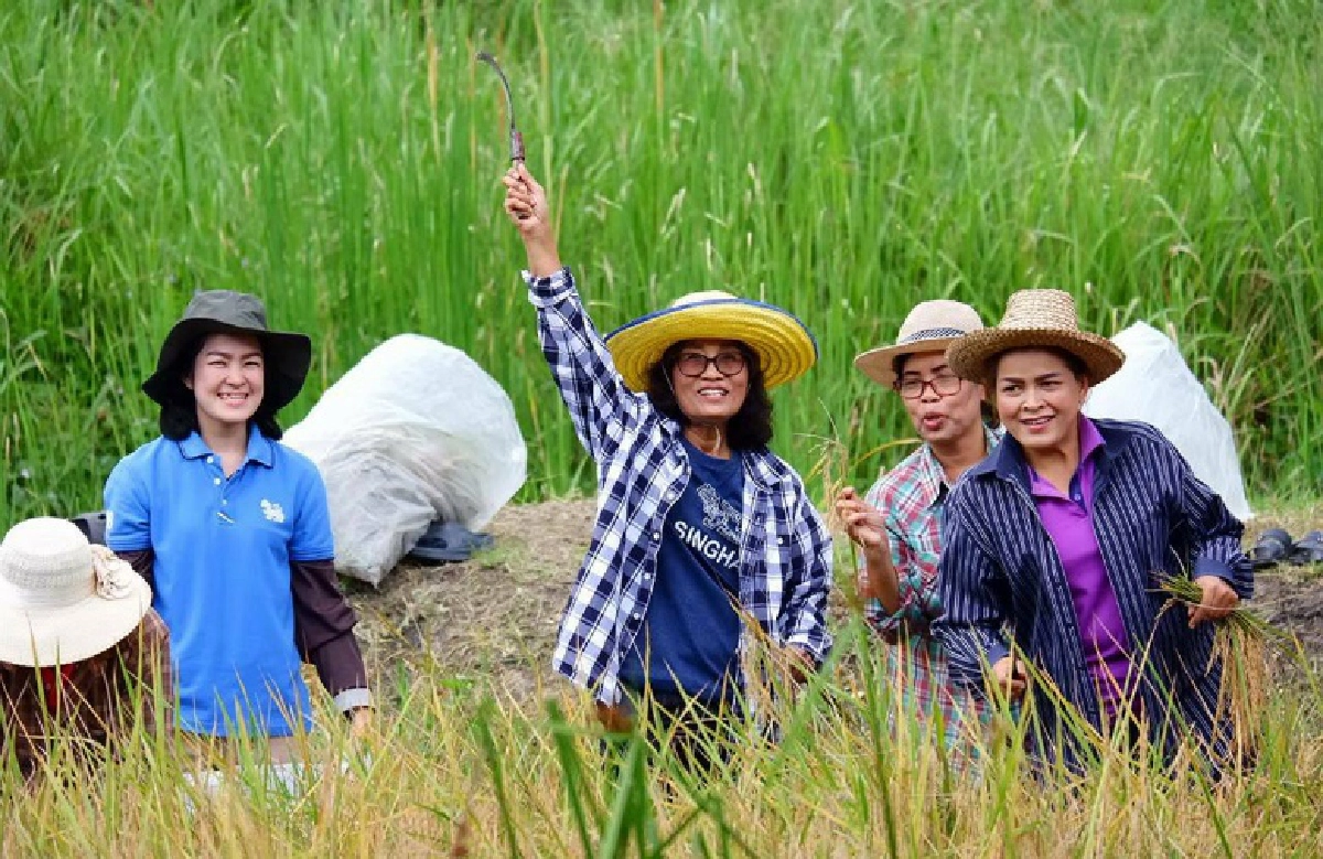 แปลงเกษตร 8 โรงงานบุญรอดฯ ร่วมเปลี่ยน "แปลง" เป็น "กำลังใจ"  ส่งบุคลากรทางการแพทย์ และชุมชน