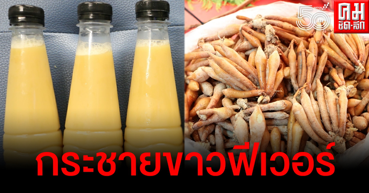 "กระชายขาว" ฟีเวอร์ ราคาพุ่งขึ้นเท่าตัว แห่ซื้อสกัดน้ำดื่ม เชื่อช่วยต้านโควิดได้ "กระชายขาว" ฟีเวอร์ ราคาพุ่งขึ้นเท่าตัว แห่ซื้อสกัดน้ำดื่ม เชื่อช่วยต้านโควิดได้