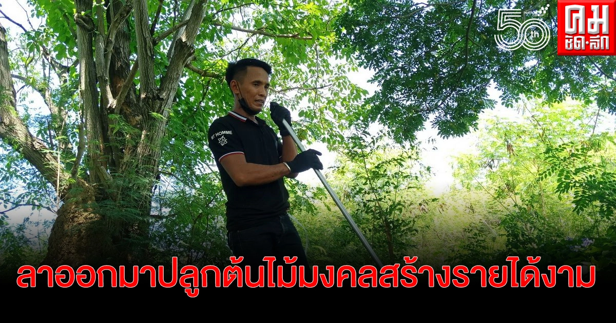 อดีตจ่าสิบตรีวัย 34 ปี ลาออกมาปลูกต้นไม้มงคล และ เก็บใบก้ามปูขายสร้างรายได้งาม