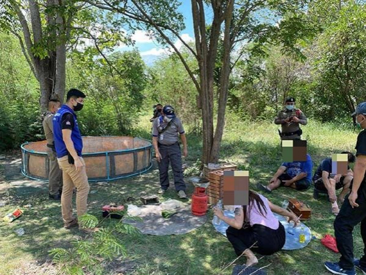 วงแตก ฝ่ายปกครอง-ตำรวจบุกจับบ่อนไก่ลักลอบเล่นกลางป่าไม่สนโควิด