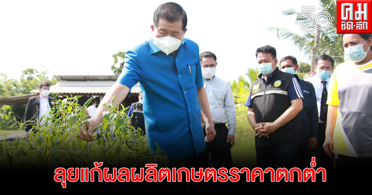 "นิพนธ์" ลุย ตามคืบหน้าแก้ผลิตผลเกษตรราคาตกต่ำ "นิพนธ์" ลุย ตามคืบหน้าแก้ผลิตผลเกษตรราคาตกต่ำ