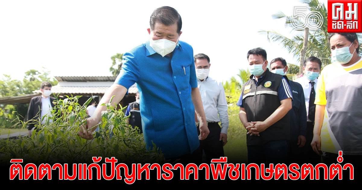 "นิพนธ์" ลุยสวนพริก-ฟักทองติดตามความก้าวหน้าแก้ปัญหาราคาพืชเกษตรตกต่ำ "นิพนธ์" ลุยสวนพริก-ฟักทองติดตามความก้าวหน้าแก้ปัญหาราคาพืชเกษตรตกต่ำ