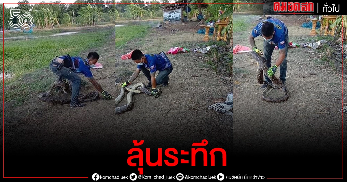 ลุ้นระทึก..คลิป หนุ่มกู้ชีพ บุกเดี่ยวจับงูเหลือมยาว 5 เมตร มือเปล่า