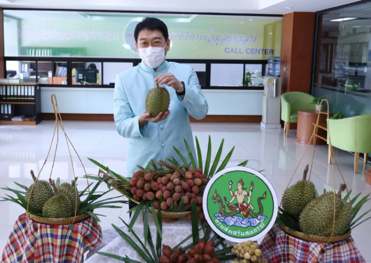 กรมส่งเสริมสหกรณ์หนุนสหกรณ์ชาวสวนผลไม้กระจายผลผลิตสู่ตลาดในประเทศและต่างประเทศปี 64 