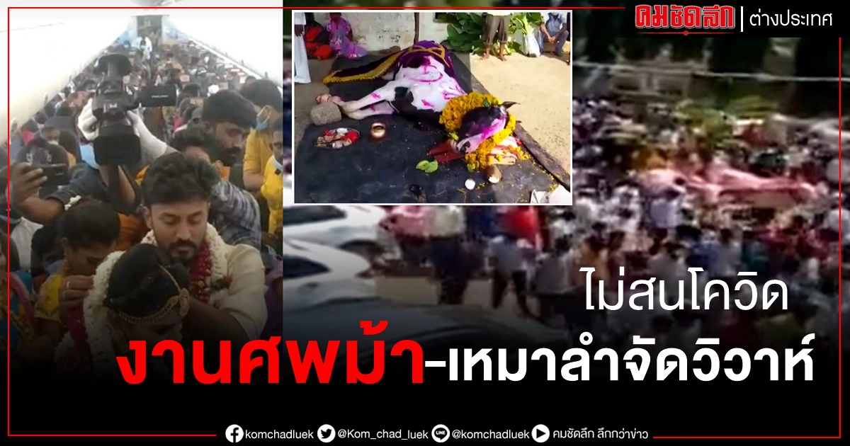 ไม่กลัวโควิด อินเดียหลายร้อยแห่ร่วมงานศพม้า-จัดวิวาห์กลางอากาศ เชิญแขกกว่าร้อย