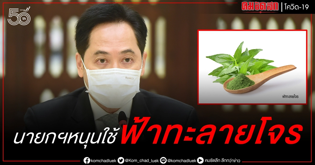 นายกฯหนุนใช้ "ฟ้าทะลายโจร" ควบคู่ "ฟาวิพิราเวียร์" รักษาผู้ป่วยโควิด