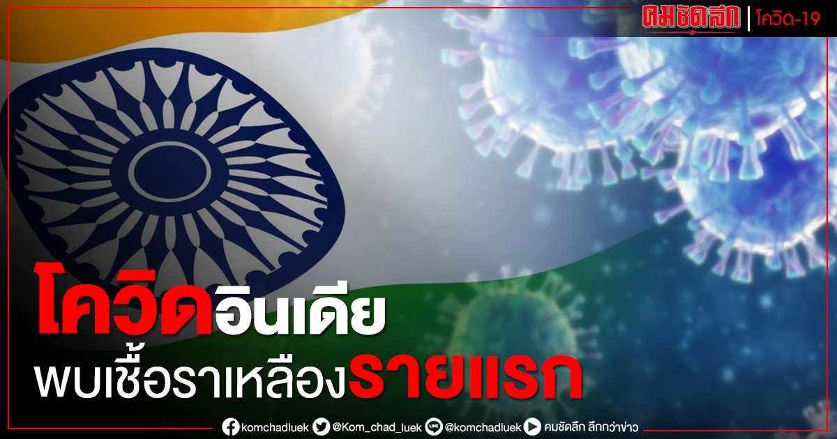 โควิดอินเดีย พบเชื้อราเหลืองรายแรก แพทย์เผยอาจอันตรายกว่าเชื้อราดำ