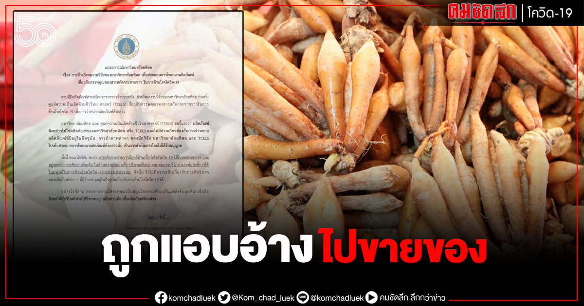ม.มหิดล แถลง "กระชายขาว" มีฤทธิ์ต้านโควิด แต่ถูกแอบอ้างงานวิจัยไปขายของ ม.มหิดล แถลง "กระชายขาว" มีฤทธิ์ต้านโควิด แต่ถูกแอบอ้างงานวิจัยไปขายของ