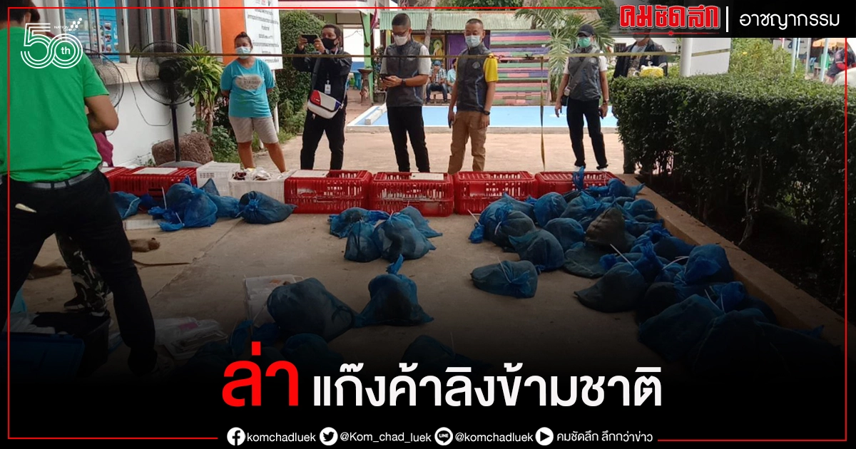 บช.ก ตั้งทีมสอบสวนขยายผลล่าแก๊งค้าลิงข้ามชาติ 