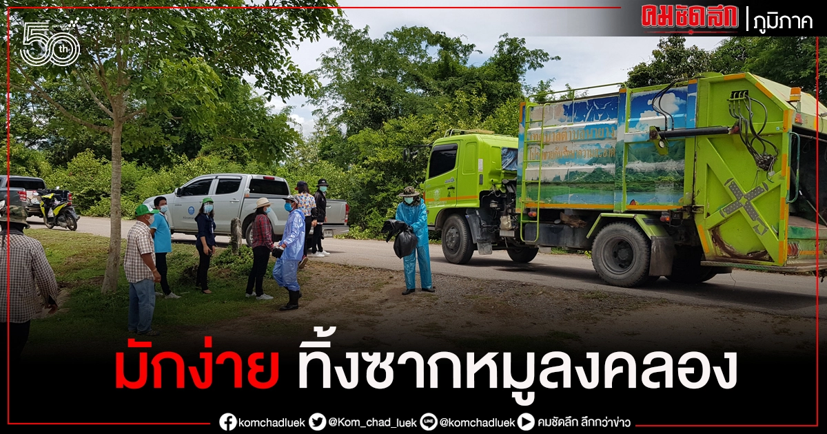 ชาวบ้านผวา เจอพวกมักง่ายทิ้งซากหมูลงคลองชลประทาน คาดติดอหิวาต์แอฟริกา ชาวบ้านผวา เจอพวกมักง่ายทิ้งซากหมูลงคลองชลประทาน คาดติดอหิวาต์แอฟริกา