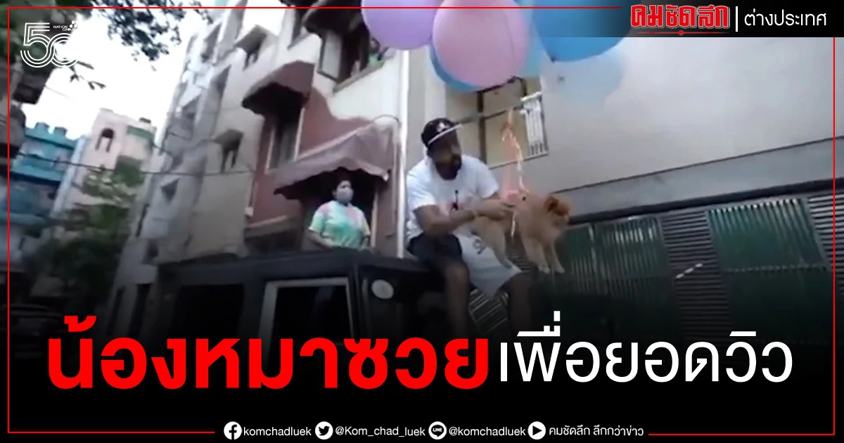 งานเข้ายูทูบเบอร์ จับน้องหมาตัวเองผูกลูกโป่งทำคลิปหมาลอยได้ (ชมคลิป) งานเข้ายูทูบเบอร์ จับน้องหมาตัวเองผูกลูกโป่งทำคลิปหมาลอยได้ (ชมคลิป)