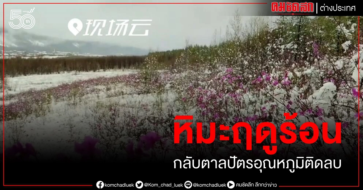 (คลิป) แปลกแต่จริง หิมะฤดูร้อน กลับตาลปัตรหนาวติดลบห่มคลุมมองโกเลียใน (คลิป) แปลกแต่จริง หิมะฤดูร้อน กลับตาลปัตรหนาวติดลบห่มคลุมมองโกเลียใน