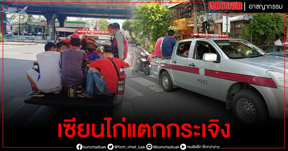 ด่วน..บ่อนโผล่กลางกรุง สายตรวจปทุมวันบุกทลายได้ไก่เป็นของกลาง (มีคลิป)