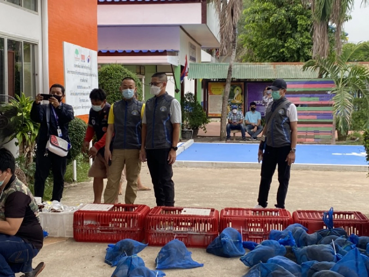  ใครอยู่เบื้องหลัง ขบวนการค้าสัตว์ข้ามชาติในไทย รับใช้นายทุนจีน 