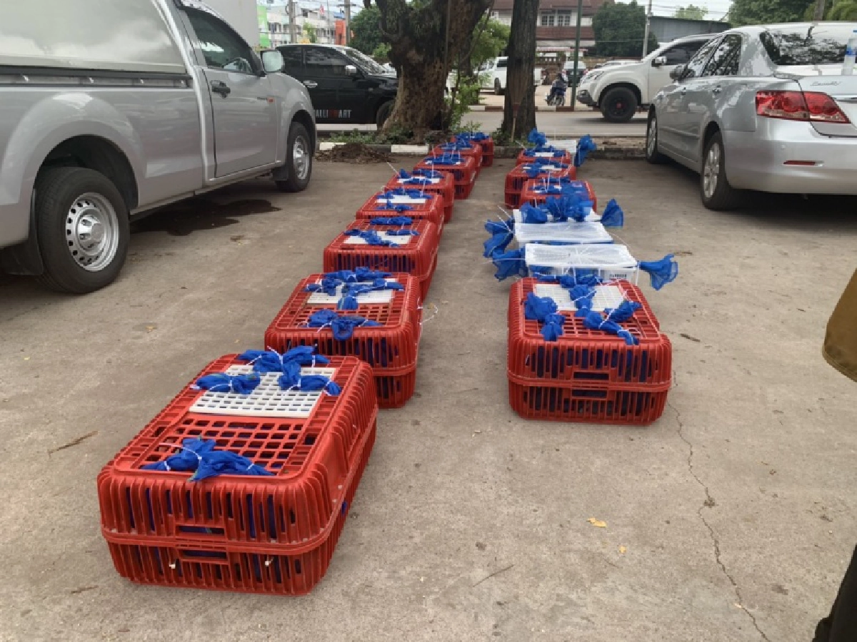  ใครอยู่เบื้องหลัง ขบวนการค้าสัตว์ข้ามชาติในไทย รับใช้นายทุนจีน 