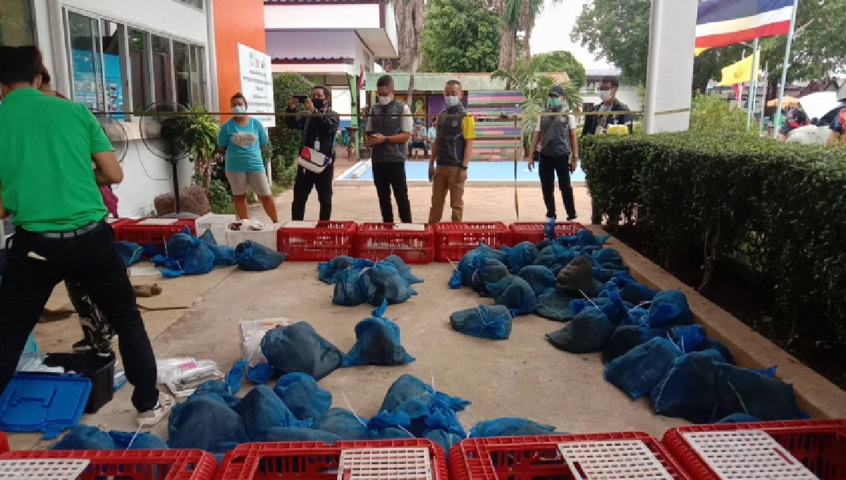  ใครอยู่เบื้องหลัง ขบวนการค้าสัตว์ข้ามชาติในไทย รับใช้นายทุนจีน 