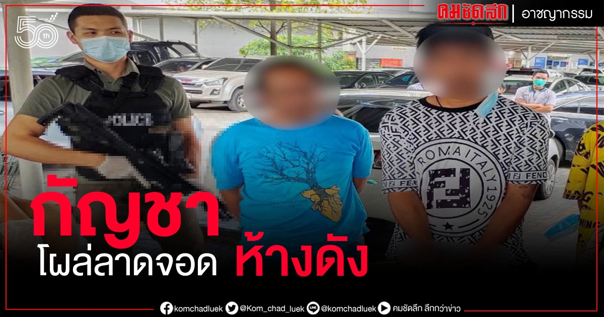 ผงะ กัญชา 300 กิโลกรัม โผล่กลางลานจอดห้างดังย่านลาดพร้าว กองปราบเข้าชาร์จทันที 