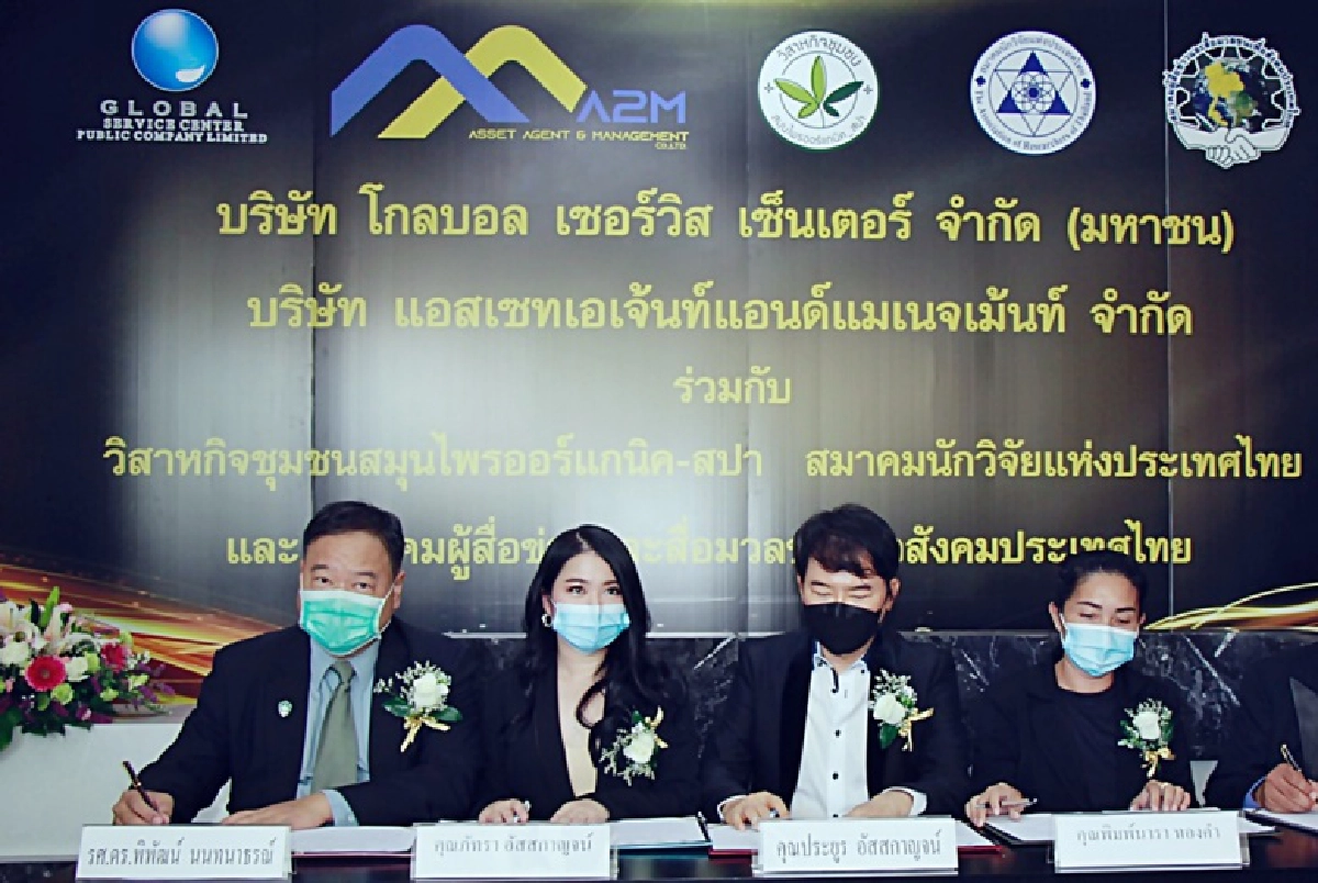 โกลบอล เซอร์วิส แอทเซท เอเจ้นท์ หนุนการผลิตกัญชาทางการแพทย์เพื่อคนไทย หลังจากรัฐบาลปลดล็อกกัญชา