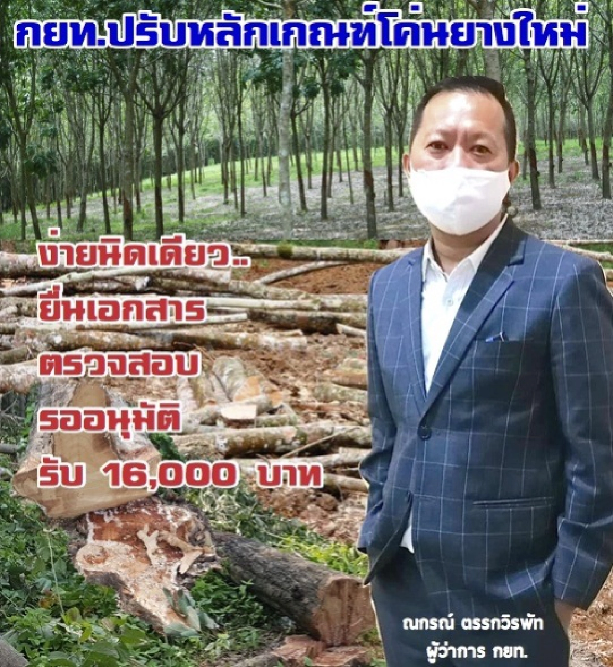 กยท.ปรับหลักเกณฑ์โค่นยางใหม่ รองรับสถานการณ์ไม้ยางราคาพุ่ง