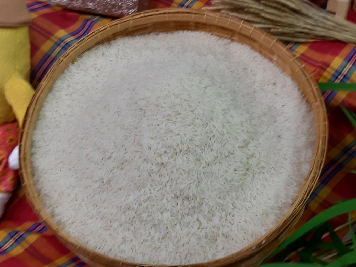 กรมการข้าวเชิญชมนิทรรศการออนไลน์"วันข้าวและชาวนาแห่งชาติ ประจำปี 2564