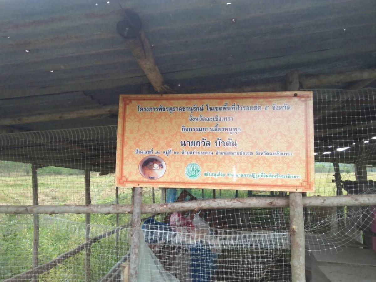 "หนูพุก "อาชีพใหม่สร้างรายได้ 