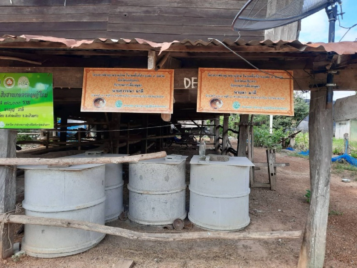 "หนูพุก "อาชีพใหม่สร้างรายได้ 