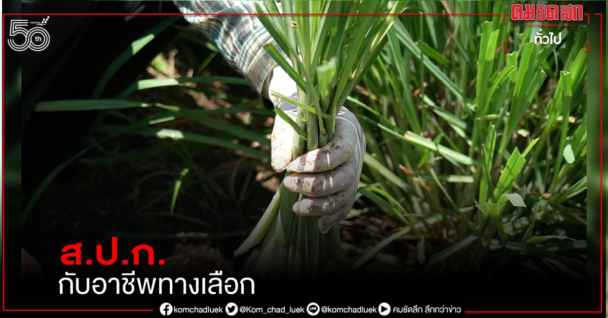 ส.ป.ก. กับอาชีพทางเลือก สร้างชีวิตใหม่ใน 5 จังหวัดภาคตะวันออก ผลงานพัฒนาภายใต้โครงการพัชรสุธาคชานุรักษ์