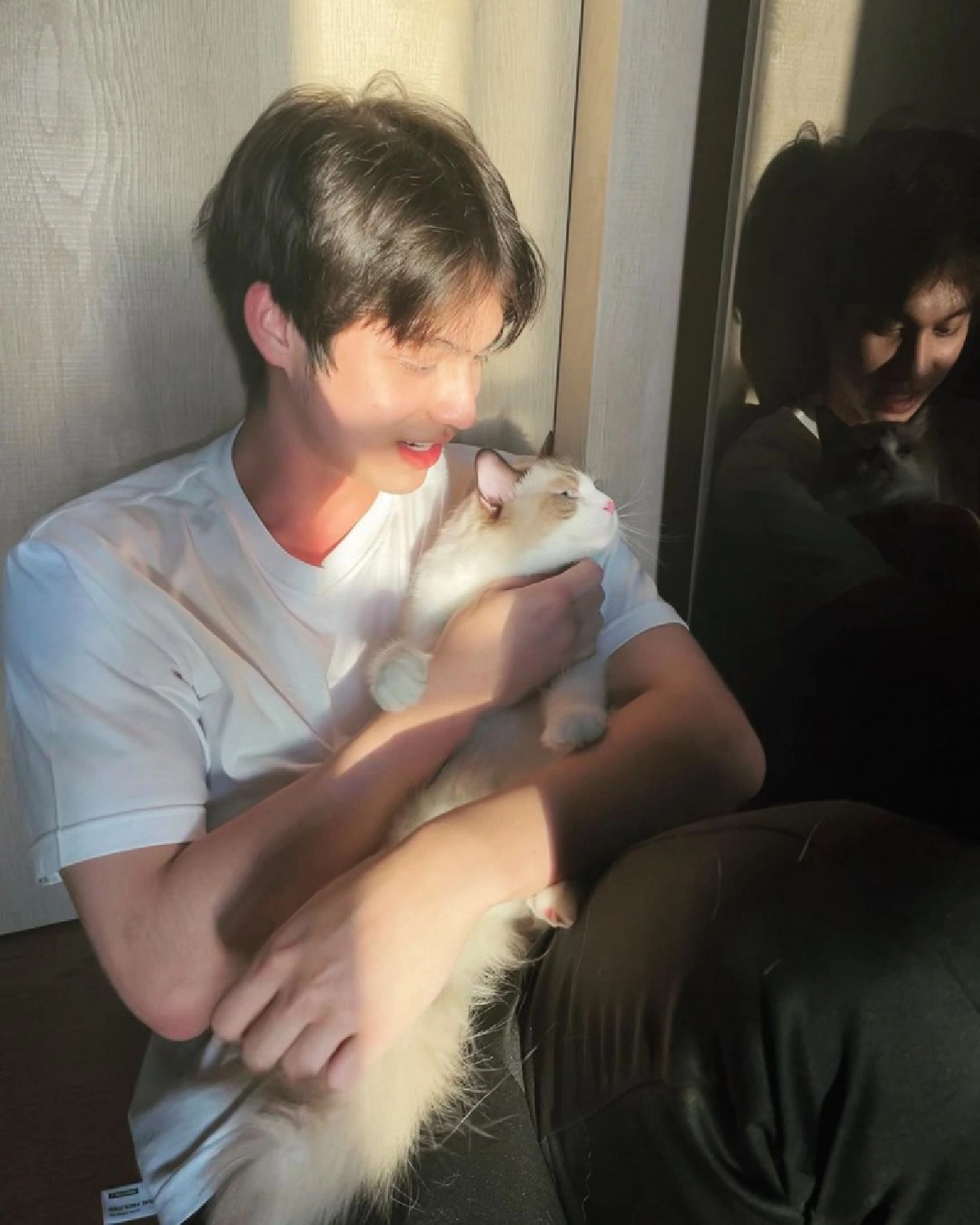 "ไบร์ท - กลัฟ - คริส"แฟนคลับอยากเป็นแมวบ้านไหน 