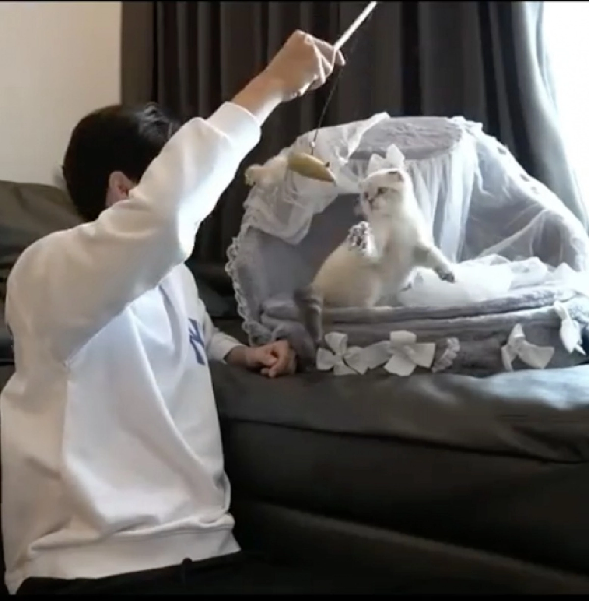"ไบร์ท - กลัฟ - คริส"แฟนคลับอยากเป็นแมวบ้านไหน 