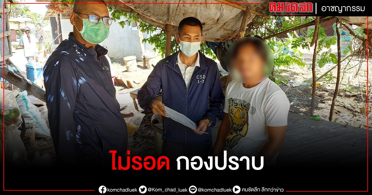 หวังดีแต่กลับถูกขืนใจ กองปราบตามจับตัวได้แล้ว หวังดีแต่กลับถูกขืนใจ กองปราบตามจับตัวได้แล้ว