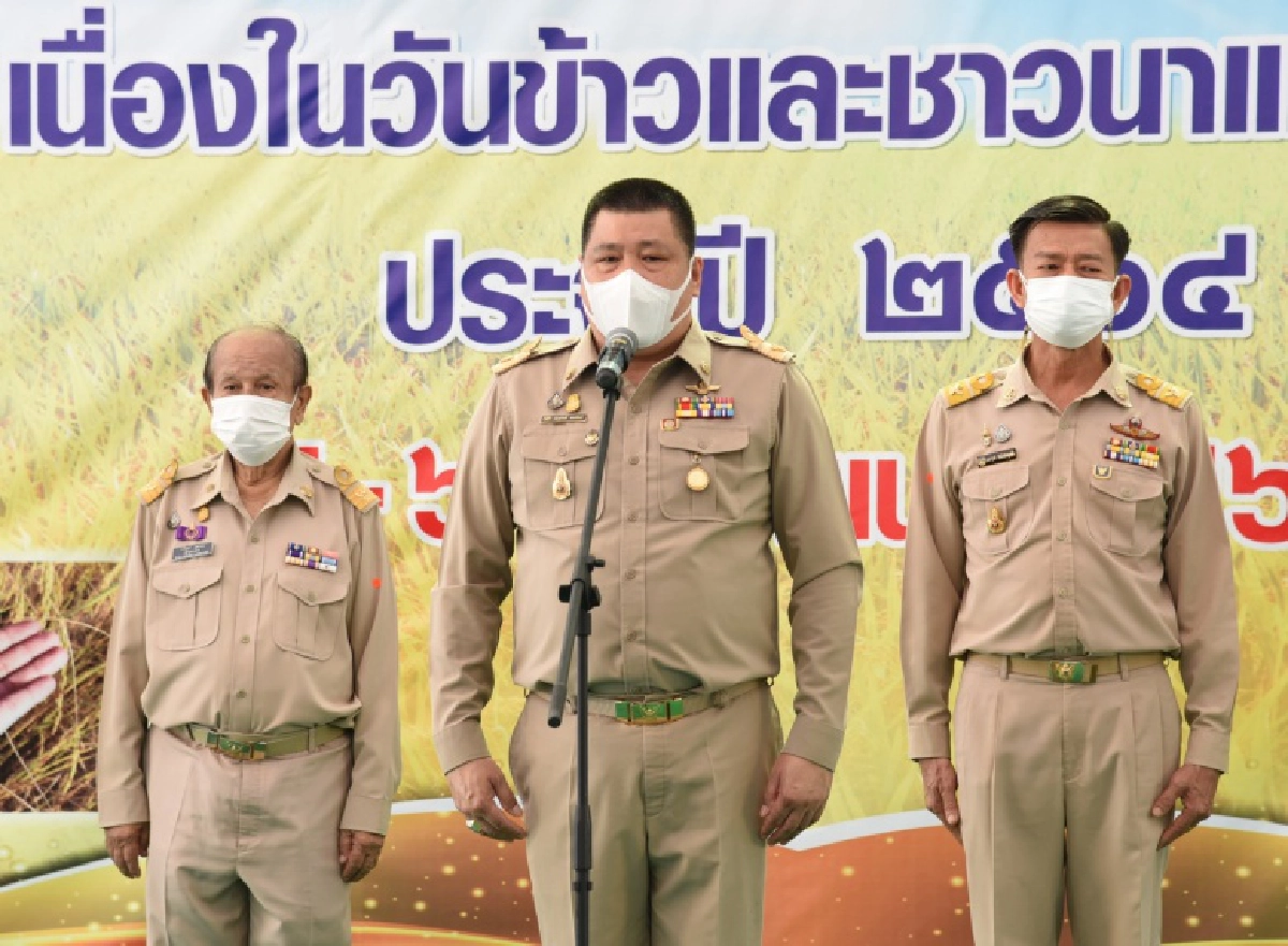 กรมการข้าว จัดเทิดพระเกียรติยิ่งใหญ่ เชิญชมนิทรรศการออนไลน์ งานวันข้าวและชาวนา 2564 