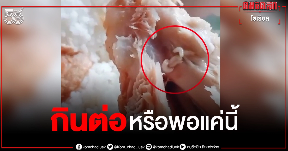 อวสานอาหารเช้า หนุ่มเจอหนอนไต่ดึ๋ยๆในเนื้อไก่ทอด อวสานอาหารเช้า หนุ่มเจอหนอนไต่ดึ๋ยๆในเนื้อไก่ทอด