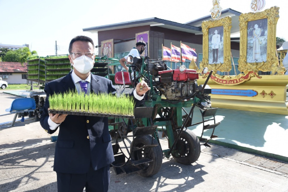 กรมการข้าว จัดเทิดพระเกียรติยิ่งใหญ่ เชิญชมนิทรรศการออนไลน์ งานวันข้าวและชาวนา 2564 