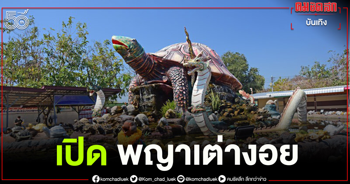 "พญาเต่างอย" เปิดให้สักการะ พร้อมมาตรการป้องกันไวรัสโควิด-19 "พญาเต่างอย" เปิดให้สักการะ พร้อมมาตรการป้องกันไวรัสโควิด-19